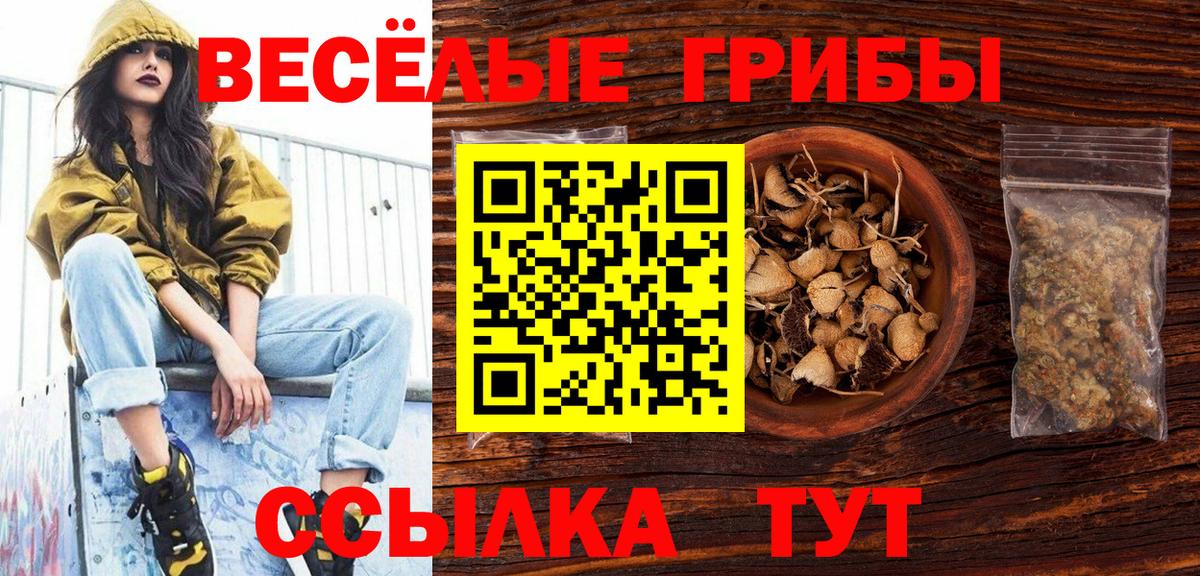 Псилоцибиновые грибы MAGIC MUSHROOMS  Вход с VPN  Омск 